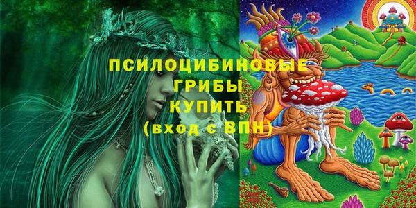 экстази Алексин