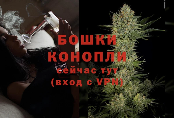 PSILOCYBIN Алексеевка